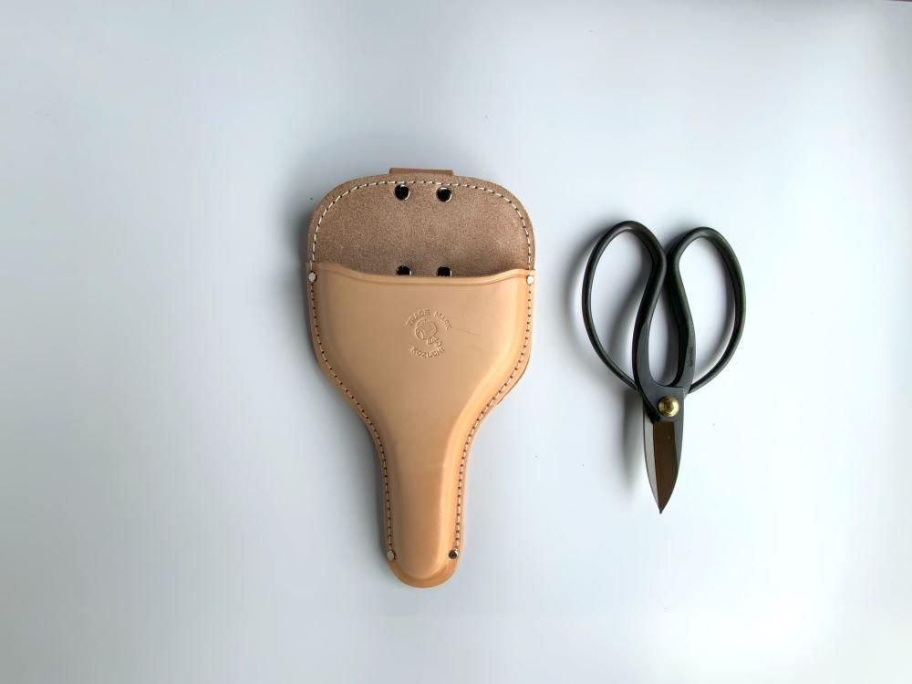 ʥդ