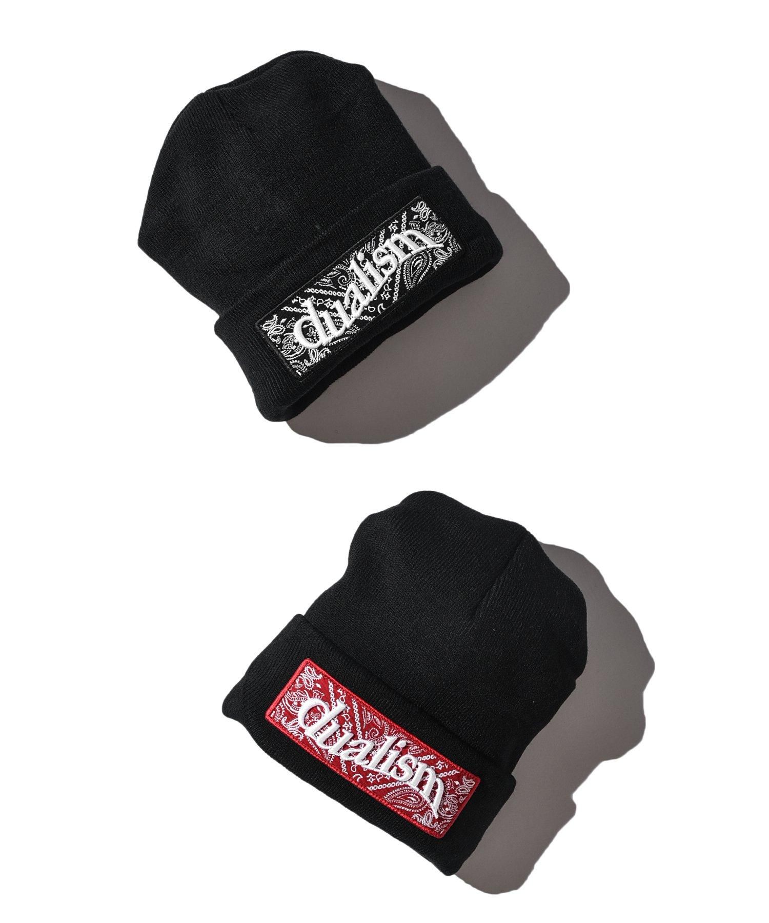 DUALISM/DLSM(デュアリズム) ニットビーニー DUALISM PAISLEY BOX LOGO