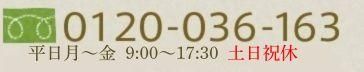 フリーダイアル：0120036163