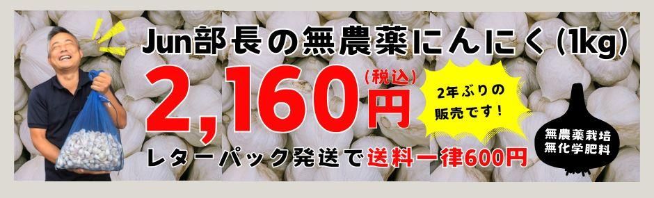 JunĹ̵ˤˤ