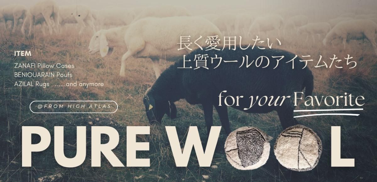 å饰䥯å󥫥СΥԥ奢륤ƥꥢƥý
