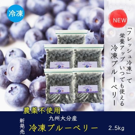 新鮮採れたて冷凍ブルーベリー 2.5kg(生ブルーベリーと同梱不可 新鮮採れたて冷凍ブルーベリー 2.5kg(生ブルーベリーと同梱不可