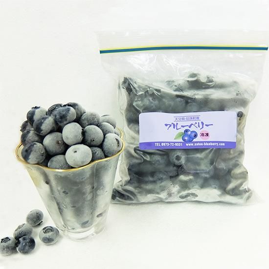 新鮮採れたて冷凍ブルーベリー 2.5kg(生ブルーベリーと同梱不可 新鮮採れたて冷凍ブルーベリー 2.5kg(生ブルーベリーと同梱不可
