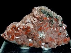 Red Quartz :ֿ徽ʱѹ 