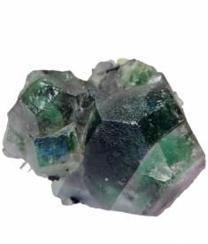 ե饤(ʥߥӥ