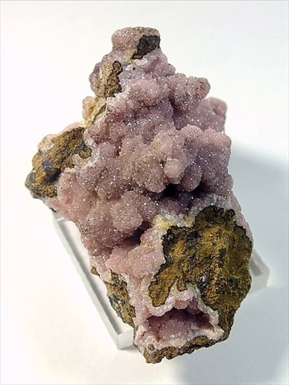 Rhodochrosite: 菱マンガン鉱 南アフリカ産