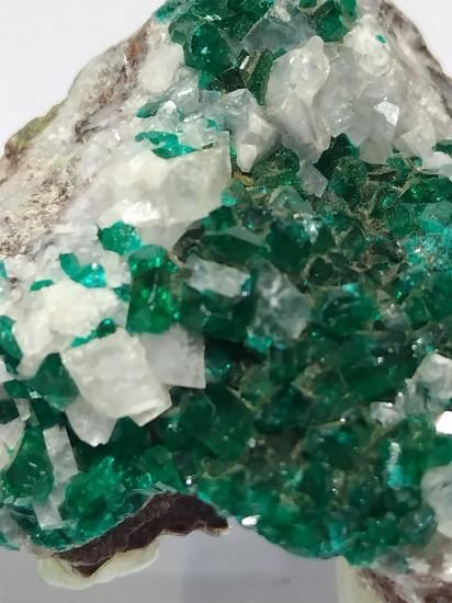 ダイオプテーズ　ナミビア産 ナミビア産 ダイオプテーズ、水晶 | 鉱物標本,タ行