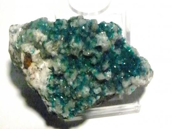 ツメブ鉱山産 ダイオプテーズ ツメブ鉱山 ダイオプテーズ | 鉱物標本,タ行,ダイオプテーズ/翠