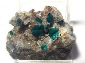 Dioptase:翠銅鉱(ツメブ産）