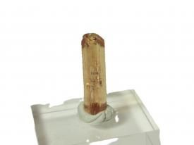 <img class='new_mark_img1' src='https://img.shop-pro.jp/img/new/icons12.gif' style='border:none;display:inline;margin:0px;padding:0px;width:auto;' />ȥѡʥ֥饸: