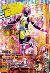 BR4-008 LR ̥饤ݥåԡ Ȥ᤭饤ޡ