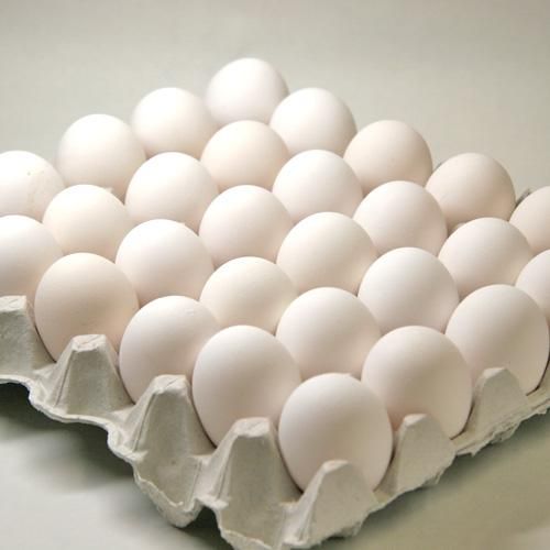 しろたまご様 リクエスト 2点 まとめ商品 見てくれてありがとう🥚 たまごっちの最新情報をお届けしてるよ