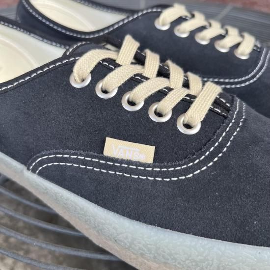 [VANS] スニーカー オーセンティック AUTHENTIC ファントム 26.5～28.5cm】VANS/Authentic 'Color Theory -Rhododendron