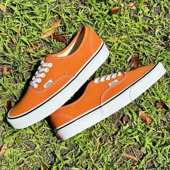 夕陽のTシャツ】【23.5～28.5cm】VANS/Authentic Color Theory