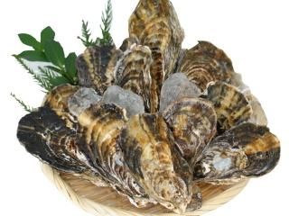 浜中水産 浜中水産