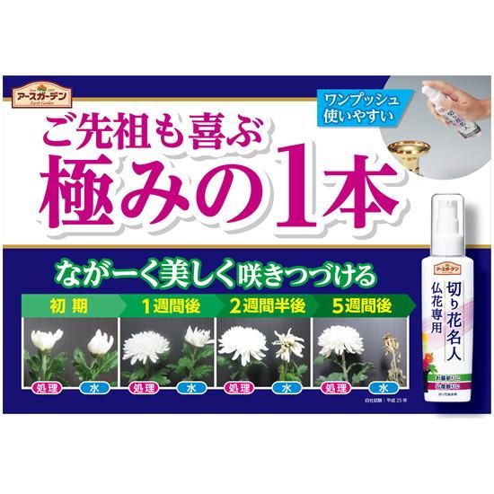 Amazon.co.jp: 【美浜卸売・まとめ買い】アースガーデン切り花