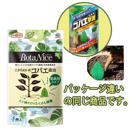 Botanice 土からわいたコバエ退治 粘着剤タイプ 4個入 Shop Earth アース製薬公式オンラインショップ