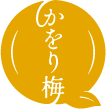 ˧ʹ ʡ温֤ߡʲߡˡ[HP]