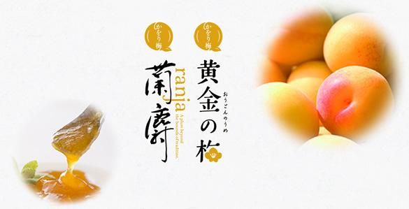 겫ߡͤ-£ѥե 硼ʡ