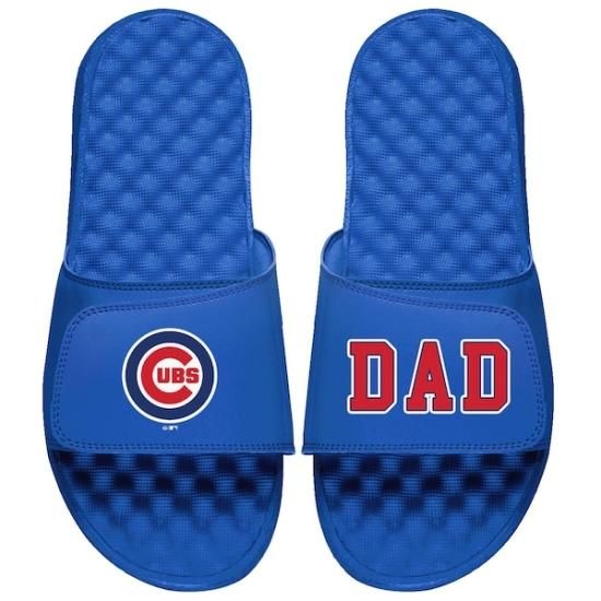 レア　メジャーリーグ　シカゴカブス　レインポンチョ　現地での配布品 MLB公式 JHデザイン Cubs シカゴ カブス 限定 チャンピオンズ