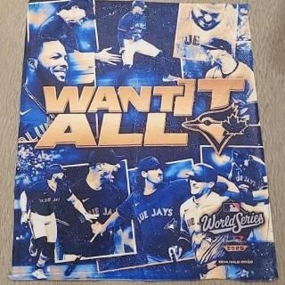 ランディ・アロザレーナ タンパベイ・レイズ ファナティクス