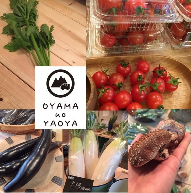 熊本 旬のお野菜セット（S）－12/12(金)発送－ - 【熊本野菜】 おやま