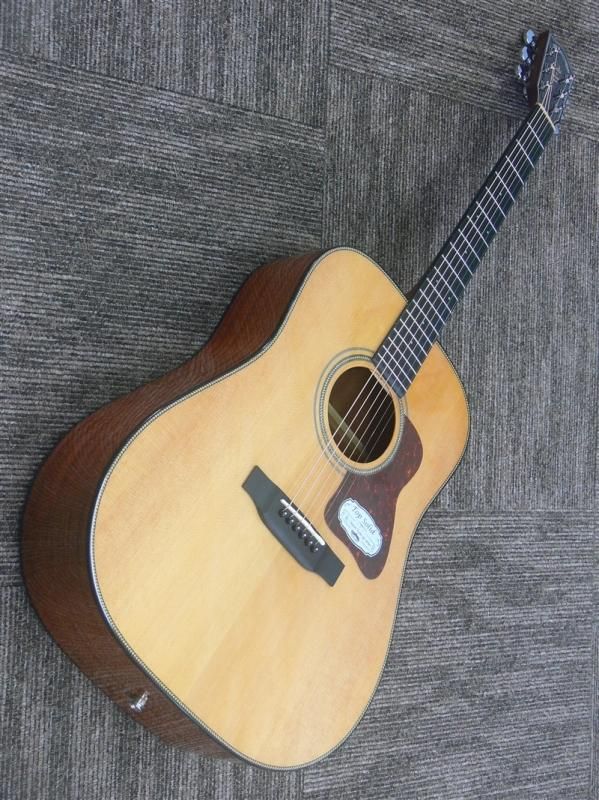 Headway HD-5080SE NA【新品】 - ギター専門店PAL