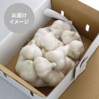 たっこ産にんにくC品Lサイズ約1kg - 青森県田子にんにく・無 たっこ産にんにくC品Lサイズ約1kg - 青森県田子にんにく・無