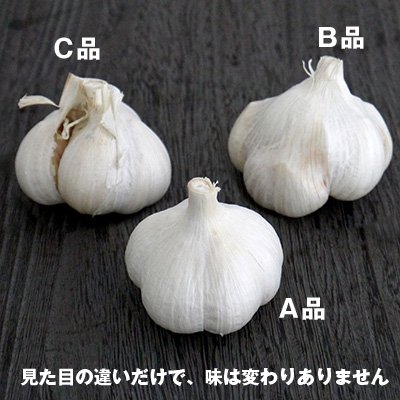 たっこ産にんにくＡ品Ｌサイズ約1kg(特別栽培） - 青森県田子にんにく・無農薬にんにくの生産・販売 | 上平農園