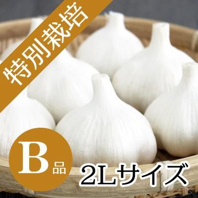 たっこ産にんにくB品２Ｌサイズ約1kg(特別栽培） - 青森県田子にんにく