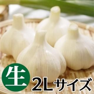 たっこ産 生にんにく（期間限定） - 青森県田子にんにく・無農薬