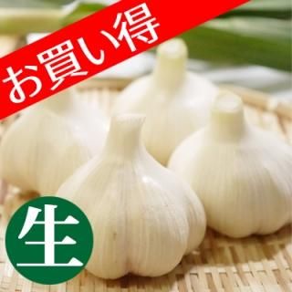 たっこ産 生にんにく(期間限定) - 青森県田子にんにく・無農薬 たっこ産 生にんにく(期間限定) - 青森県田子にんにく・無農薬