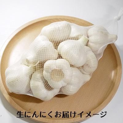 生は今だけ　農薬不使用　兵庫県産　ミニ生にんにく　9Kg 農薬不使用 生にんにく 新ニンニク箱込み1kg - メルカリ