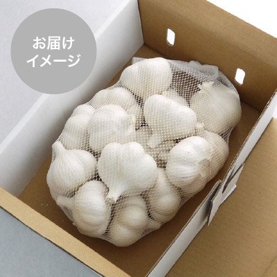 たっこ産にんにくC品Mサイズ約1kg(特別栽培）※お盆中の発送の可能性もあり（お受け取り不可日がある場合はご入力ください） -  青森県田子にんにく・無農薬にんにくの生産・販売 | 上平農園