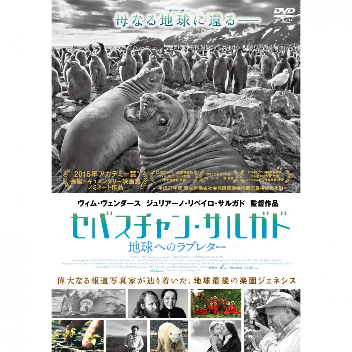DVD／セバスチャン・サルガド 地球へのラブレター - 歴史プラス(時空