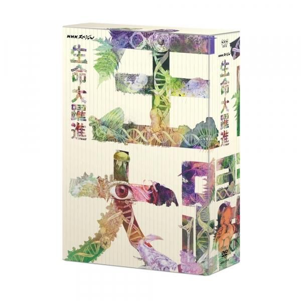 DVDNHKڥ ̿ DVD BOX