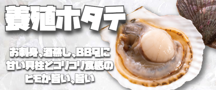 ¥Û¥¿¥Æ