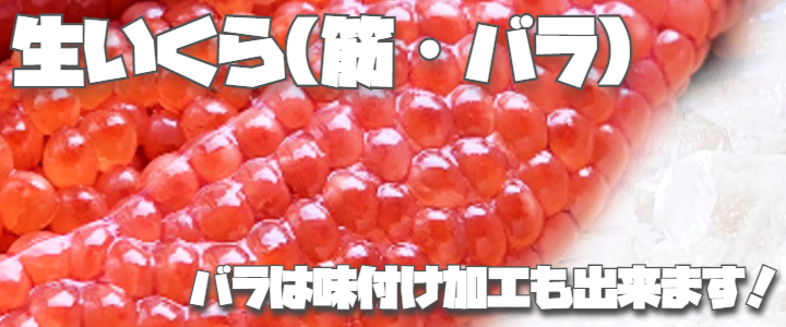 À¸¤¤¤¯¤é