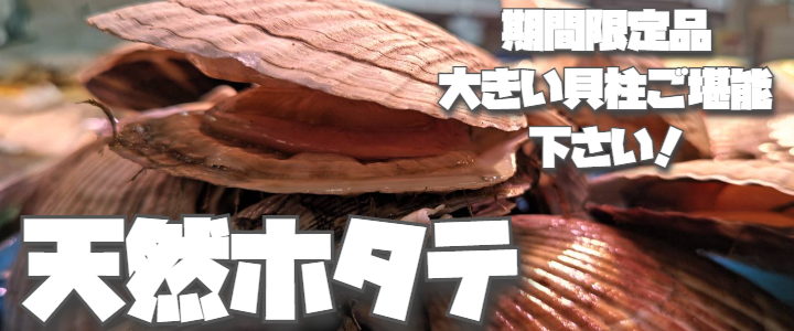 Å·Á³¥Û¥¿¥Æ