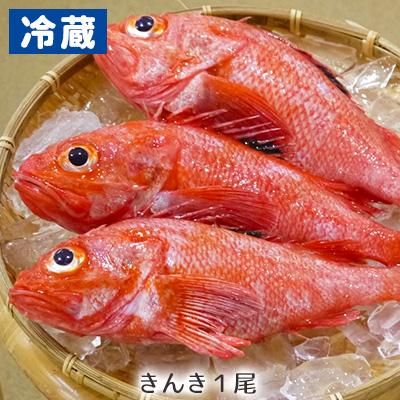 きんきん キチジ きんき きんきん キチジ きんき
