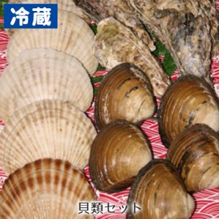 [冷蔵] 貝類セット（ほたて5・ホッキ貝5・カキ5）
