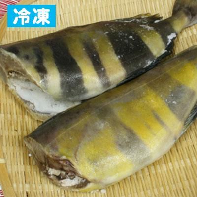 塩ホッケ