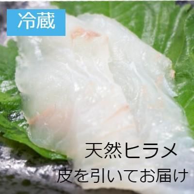 冷蔵 八戸前沖天然ヒラメ約800g