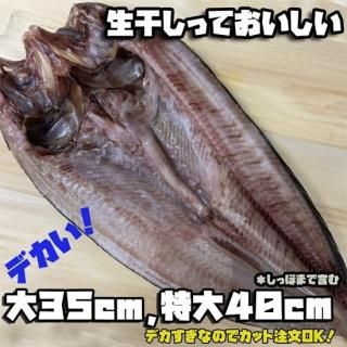 [] Ȭۤä봳