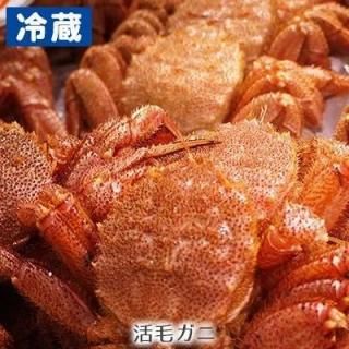¢Ȭŷӥˡ<ˤ껺Ϥѹͭ>