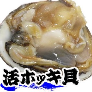 （冷蔵）三沢・八戸産ホッキ貝（５個〜）