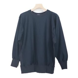 <img class='new_mark_img1' src='https://img.shop-pro.jp/img/new/icons23.gif' style='border:none;display:inline;margin:0px;padding:0px;width:auto;' />REVERSE WEAVE HIGH GAUGE SWEAT