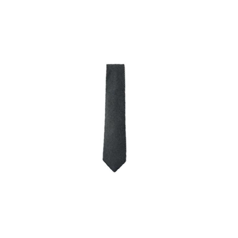 AURALEE SUPER LIGHT WOOL TIE | オーラリーネクタイ 通販