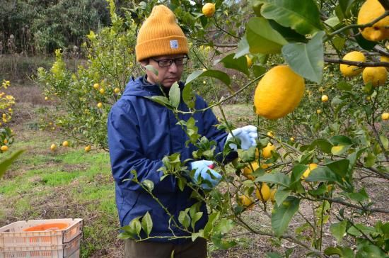 <img class='new_mark_img1' src='https://img.shop-pro.jp/img/new/icons6.gif' style='border:none;display:inline;margin:0px;padding:0px;width:auto;' />�����������󡡤������ѻȤ�����ѥå���400g ��3��4�����ˡ�2026