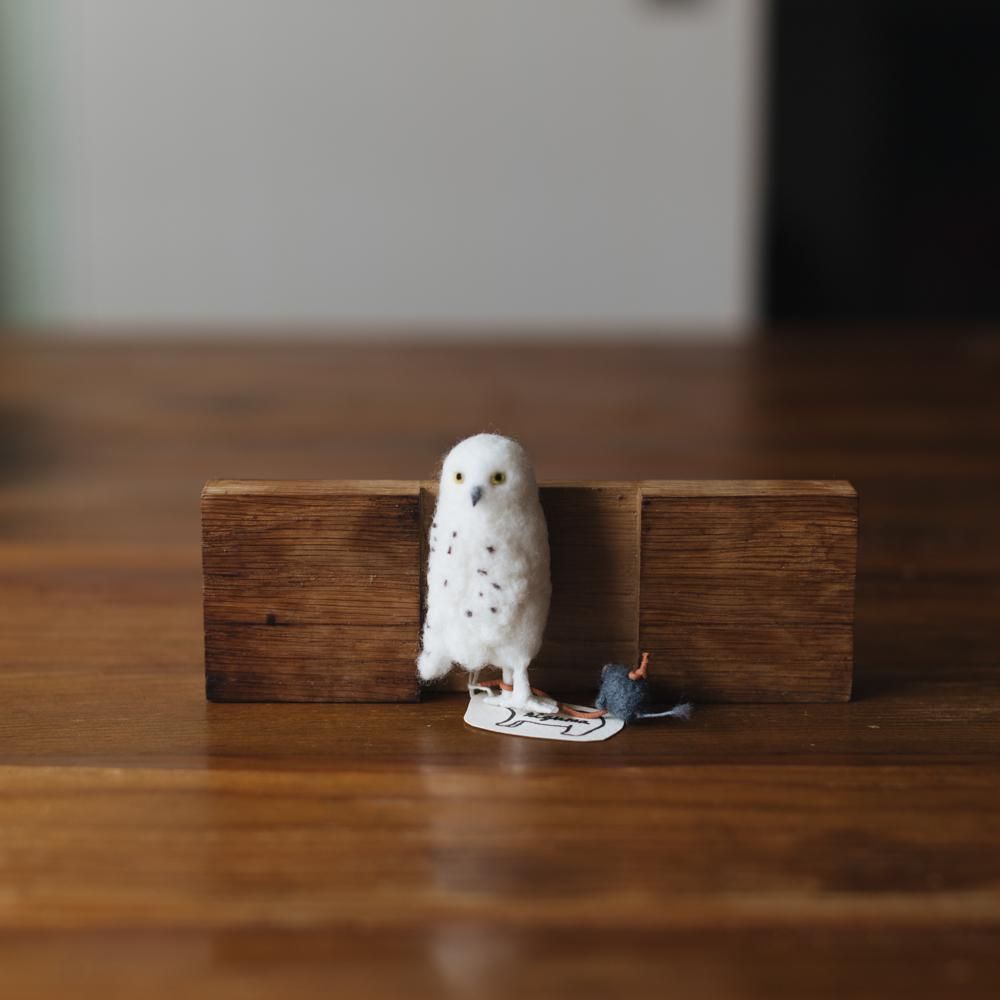 フクロウ